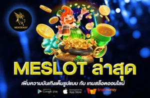 MESLOT ล่าสุด