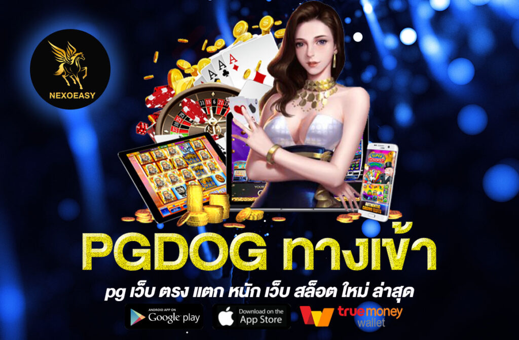 PGDOG ทางเข้า